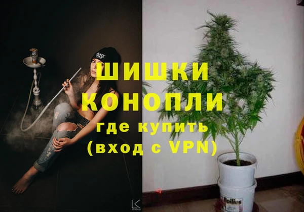 сатива Коряжма