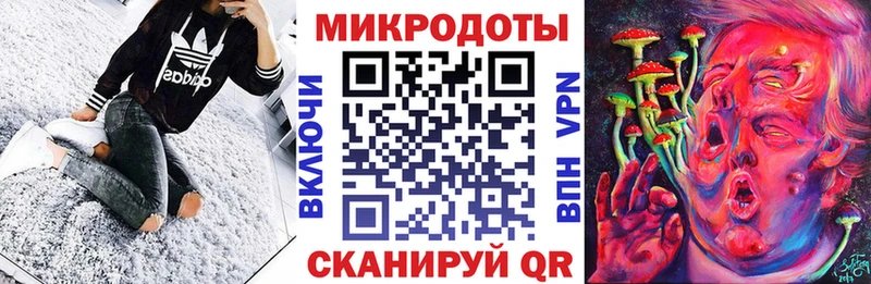 Галлюциногенные грибы Psilocybe  Купить закладки  Нея 
